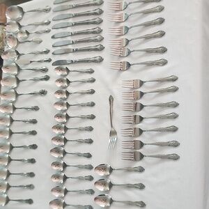 57 Piece Set Of RODGERS Co. Rose Bud Stainless Steel Japan Flatware Serving Set